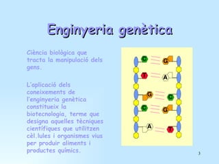 Enginyeria genètica Ciència biològica que tracta la manipulació dels gens.  L’aplicació dels coneixements de l’enginyeria genètica constitueix la biotecnologia, terme que designa aquelles tècniques científiques que utilitzen cèl.lules i organismes vius per produir aliments i productes químics. 