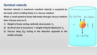Terminal Velocity Equation