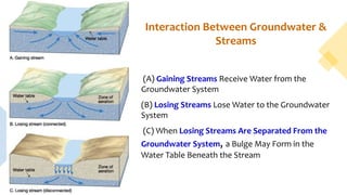 Interaction Between Groundwater &
Streams
(A) Gaining Streams Receive Water from the
Groundwater System
(B) Losing Streams Lose Water to the Groundwater
System
(C) When Losing Streams Are Separated From the
Groundwater System, a Bulge May Form in the
Water Table Beneath the Stream
 