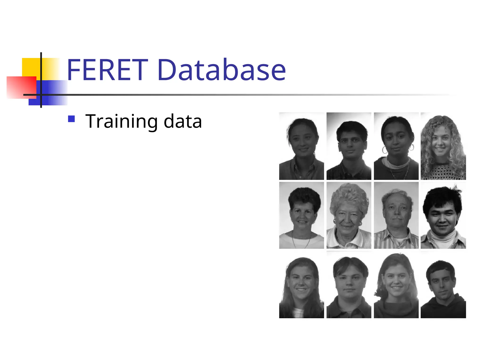 FERET Database  Training data 