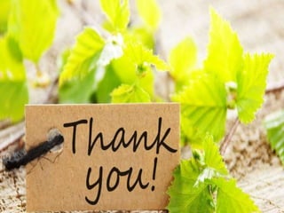 alternative medicines ~ m k kruthi