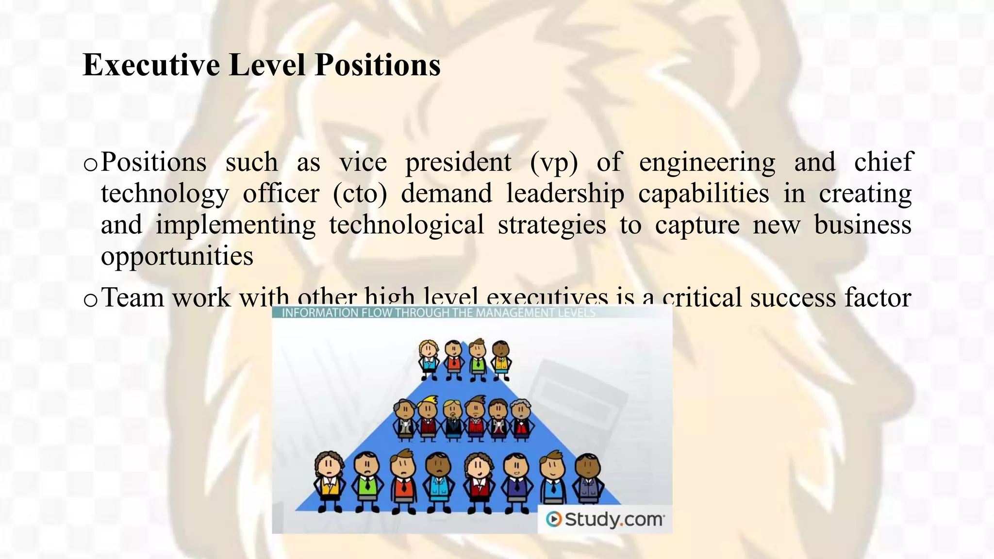 Executive Level Positions
oPositions such as vice president (vp) of engineering and chief
technology officer (cto) demand leadership capabilities in creating
and implementing technological strategies to capture new business
opportunities
oTeam work with other high level executives is a critical success factor
 