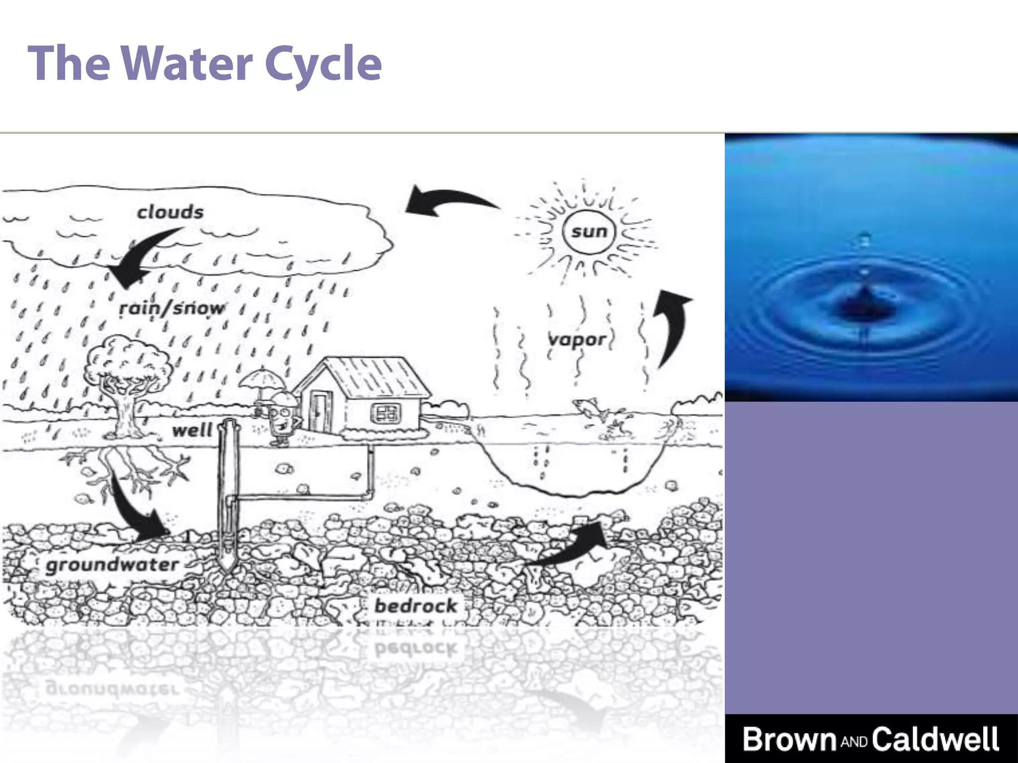 The Water Cycle