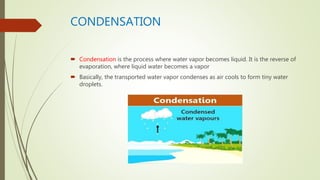 Condense Process Water Cycle | PPTX