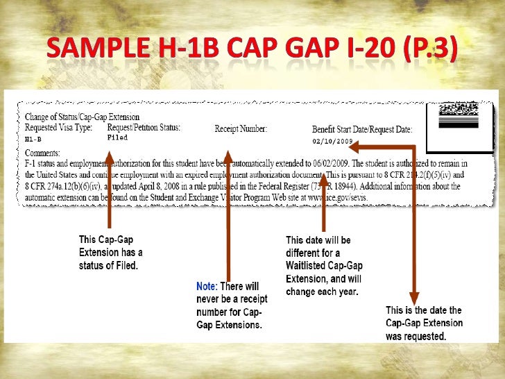 cap gap opt extension