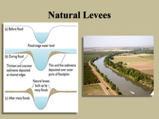 Natural Levees
 
