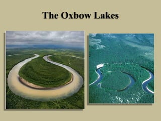 The Oxbow Lakes
 
