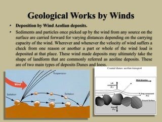 Geological Works by Winds
• Deposition by Wind Aeolian deposits.
• Sediments and particles once picked up by the wind from any source on the
surface are carried forward for varying distances depending on the carrying
capacity of the wind. Wherever and whenever the velocity of wind suffers a
check from one reason or another a part or whole of the wind load is
deposited at that place. These wind made deposits may ultimately take the
shape of landform that are commonly referred as aeoline deposits. These
are of two main types of deposits Dunes and loess.
 