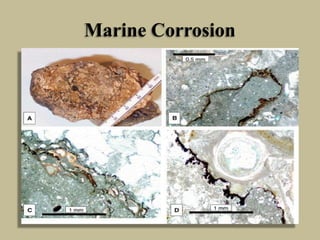 Marine Corrosion
 