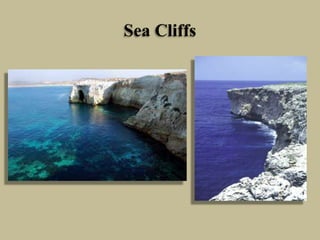 Sea Cliffs
 