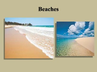 Beaches
 