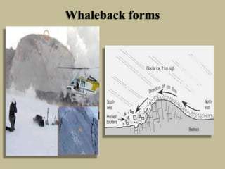 Whaleback forms
 