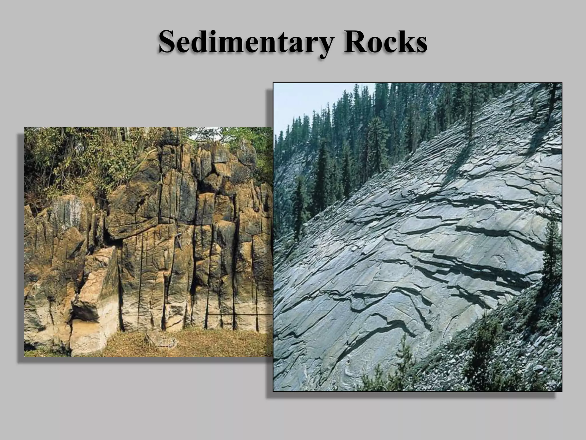 Sedimentary Rocks
 