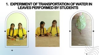 1. EXPERIMENTOFTRANSPORTATIONOFWATERIN
LEAVESPERFORMEDBYSTUDENTS
 
