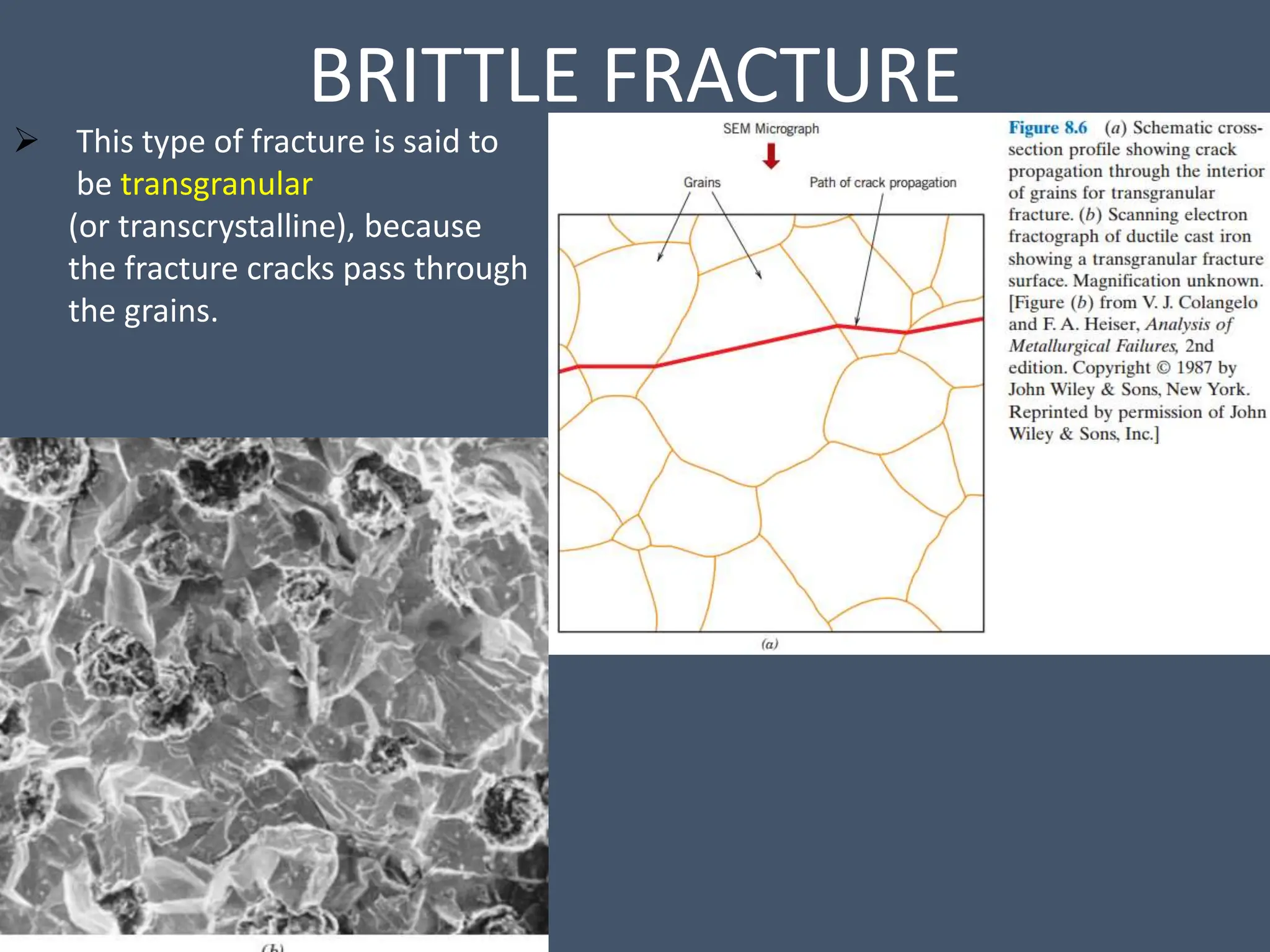 BRITTLE FRACTURE
 This type of fracture is said to
be transgranular
(or transcrystalline), because
the fracture cracks pass through
the grains.
 