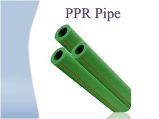 PPR Pipe
 