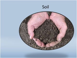 Soil
 