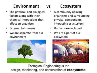 Engineering Outside the Box (presented at Ewha Woman's University, 13 ...