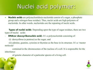 Nuclei acid polymer:
 Nucleic acids are polynucleotides(a nucleotide consist of a sugar, a phosphate
group and a nitrogen base residue). Thus, nuclei acids are high polymers of
nucleotide. In other words, nucleotides are the repeating of nuclei acids.
Types of nuclei acids: Depending upon the type of sugar residues, there are two
types of nuclei acids:
1. DNA(or deoxyribonucleic acid): It’s a polynucleotide consisting of:
(i) deoxyribose (a pentose) as the sugar, and
(ii) adenine, guanine, cytosine or thymine as the base in its structure. It’s a ‘master
molecule’
contained in the chromosomes of the nucleus of a cell. It is responsible for the
inheritance
of genetic character of a particular species of a living cell.
 
