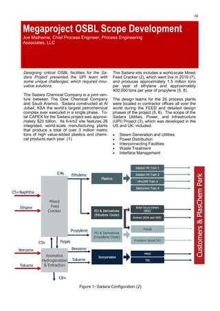 38
Megaproject OSBL Scope Development
-
-
-
-
·
·
·
·
·
-
 