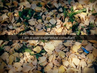 I am a user experience consultant
 