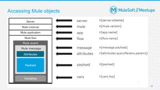Accessing Mule objects
14
 