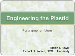 For a greener future
Sachin S Rawat
School of Biotech, GGS IP University
 