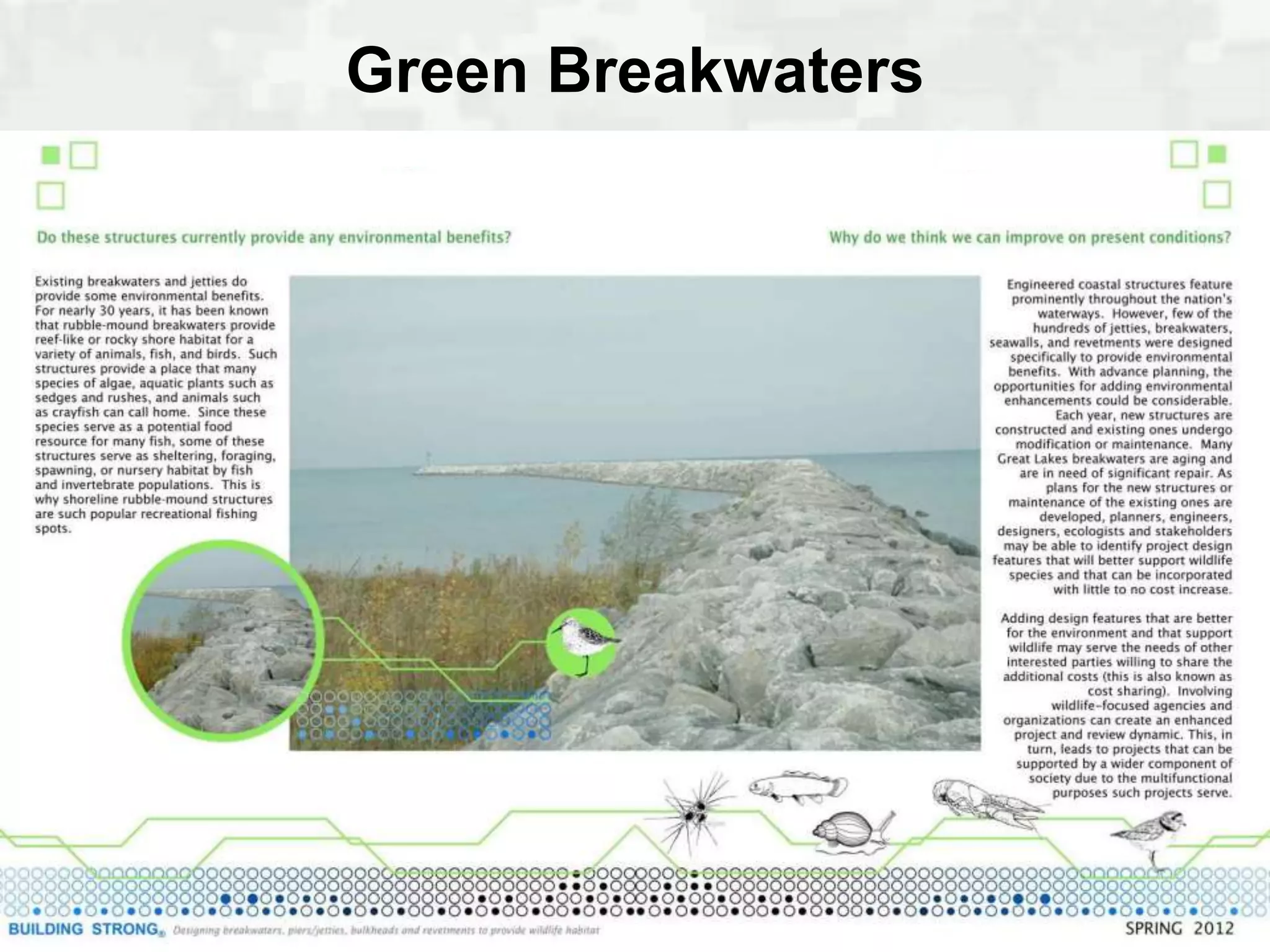 Green Breakwaters
 