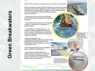 Green Breakwaters
 