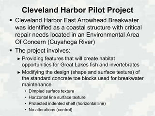 Cleveland Harbor Pilot Project
 Cleveland Harbor East Arrowhead Breakwater
  was identified as a coastal structure with critical
  repair needs located in an Environmental Area
  Of Concern (Cuyahoga River)
 The project involves:
   ► Providing features that will create habitat
     opportunities for Great Lakes fish and invertebrates
   ► Modifying the design (shape and surface texture) of
     the standard concrete toe blocks used for breakwater
     maintenance
      •   Dimpled surface texture
      •   Horizontal line surface texture
      •   Protected indented shelf (horizontal line)
      •   No alterations (control)
 