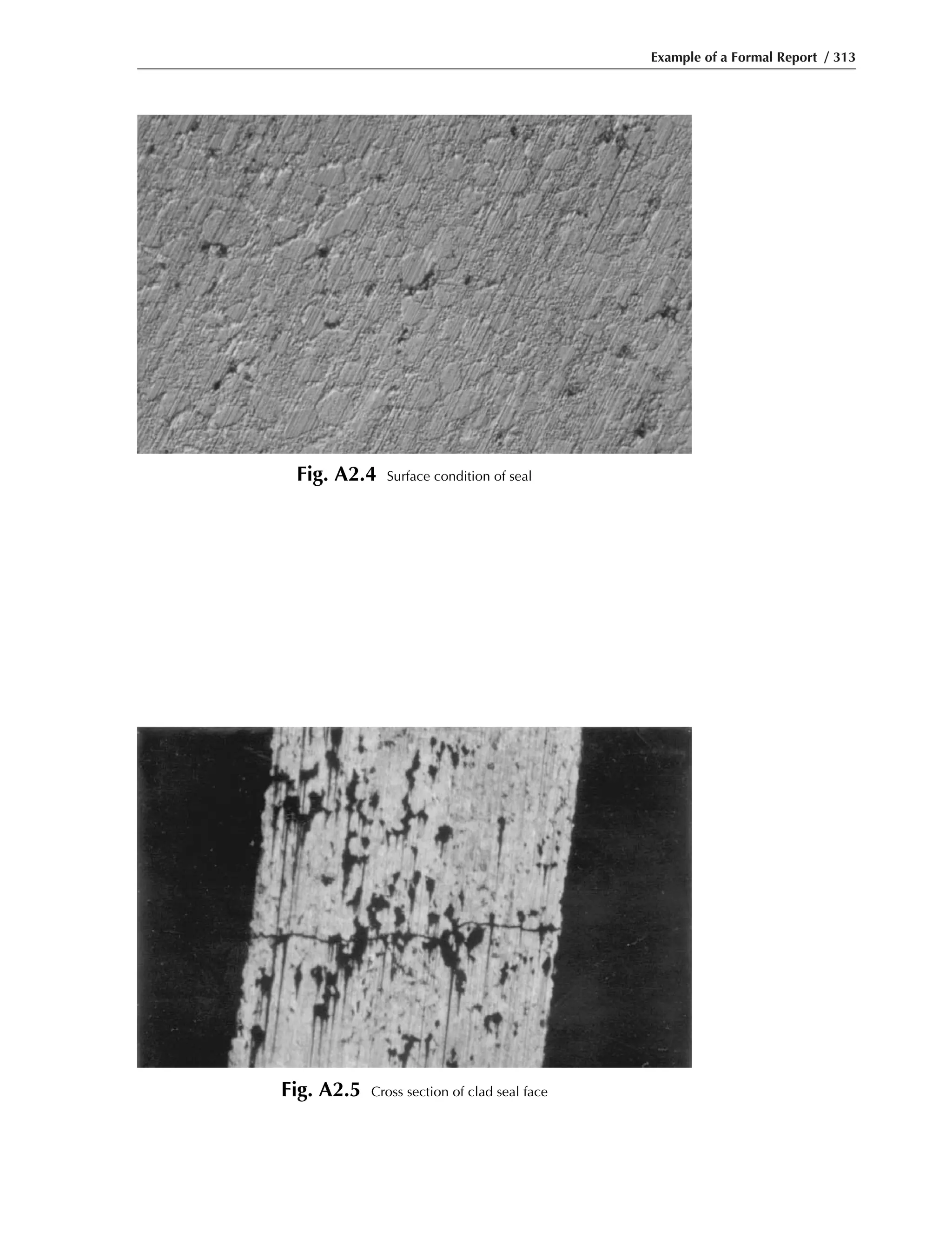 Example of a Formal Report / 313
Fig. A2.4 Surface condition of seal
Fig. A2.5 Cross section of clad seal face
 