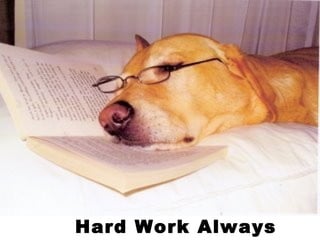 Hard Work Always Pays 
