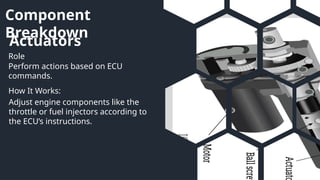 Component
Breakdown
Actuators
Role
How It Works:
Perform actions based on ECU
commands.
Adjust engine components like the
throttle or fuel injectors according to
the ECU’s instructions.
 