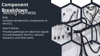 Component
Breakdown
Wiring Harness
Role
How It Works:
Connects all electronic components to
the ECU.
Provides pathways for electrical signals
to travel between the ECU, sensors,
actuators, and other parts.
 