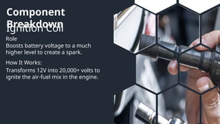 Component
Breakdown
Ignition Coil
Role
How It Works:
Boosts battery voltage to a much
higher level to create a spark.
Transforms 12V into 20,000+ volts to
ignite the air-fuel mix in the engine.
 