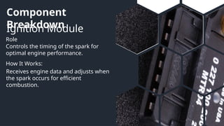 Component
Breakdown
Ignition Module
Role
How It Works:
Controls the timing of the spark for
optimal engine performance.
Receives engine data and adjusts when
the spark occurs for efficient
combustion.
 