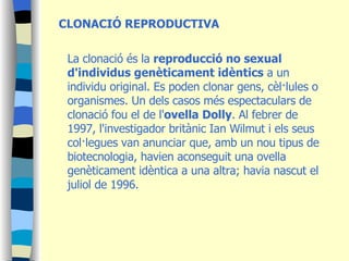 CLONACIÓ REPRODUCTIVA La clonació és la  reproducció no sexual d'individus genèticament idèntics  a un individu original. Es poden clonar gens, cèl·lules o organismes. Un dels casos més espectaculars de clonació fou el de l' ovella Dolly . Al febrer de 1997, l'investigador britànic Ian Wilmut i els seus col·legues van anunciar que, amb un nou tipus de biotecnologia, havien aconseguit una ovella genèticament idèntica a una altra; havia nascut el juliol de 1996. 