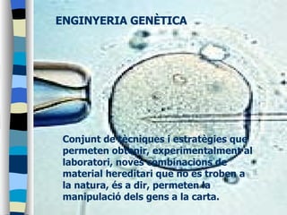 ENGINYERIA GENÈTICA Conjunt de tècniques i estratègies que permeten obtenir, experimentalment al laboratori, noves combinacions de material hereditari que no es troben a la natura, és a dir, permeten la manipulació dels gens a la carta. 