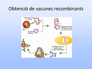 Obtenció de vacunes recombinants
 