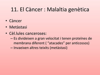 11. El Càncer : Malaltia genètica
• Càncer
• Metàstasi
• Cèl.lules canceroses:
– Es divideixen a gran velocitat i tenen proteïnes de
membrana diferent ( “atacades” per anticossos)
– Invaeixen altres teixits (metàstasi)
 