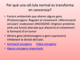 Per què una cèl.lula normal es transforma
en cancerosa?
• Factors ambientals que alteren alguns gens
(Protooncogens: Regulen el creixement i diferenciació
cel.lular) i esdevenen ONCOGENS: Originen proteïnes
amb una funció alterada que afavorirà el creixement i
la formació d’un tumor
• Altrens gens (Antioncogens o gens supressors)
inhibeixen la divisió del.lular.
• Animació oncogens Video oncogens
• Alguns oncogens importants
 