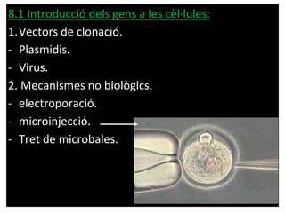 8.1 Introducció dels gens a les cèl·lules:
1.Vectors de clonació.
- Plasmidis.
- Virus.
2. Mecanismes no biològics.
- electroporació.
- microinjecció.
- Tret de microbales.
 