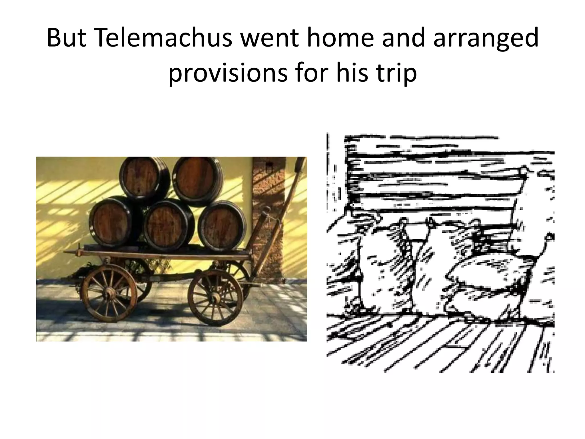 But Telemachus went home and arranged
provisions for his trip
 