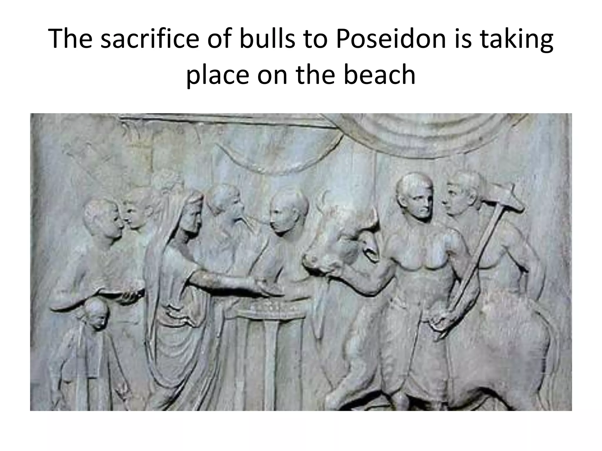 The sacrifice of bulls to Poseidon is taking
place on the beach
 