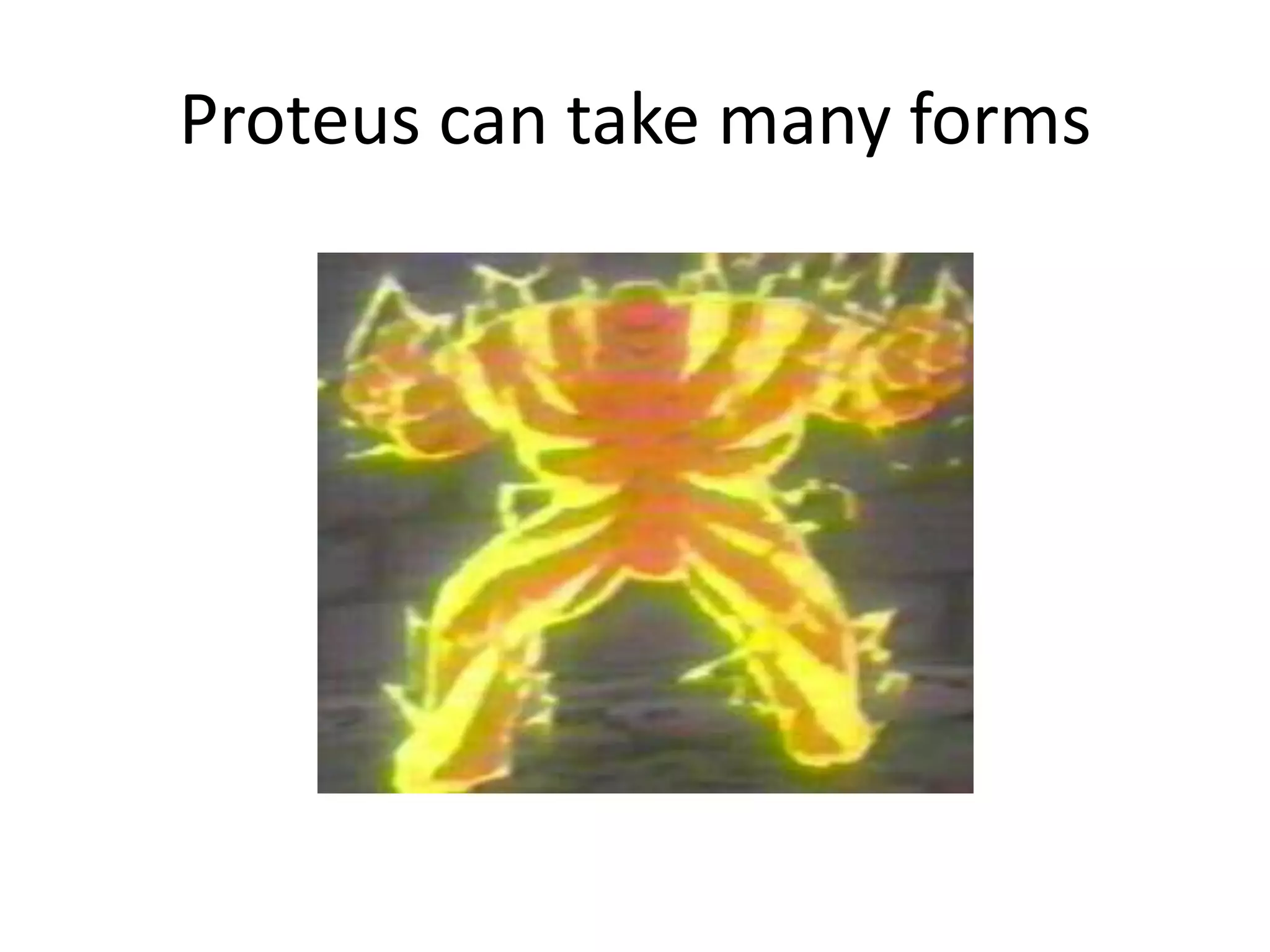 Proteus can take many forms
 