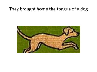 They brought home the tongue of a dog
 