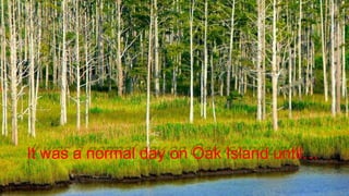 It was a normal day on Oak Island until…
 