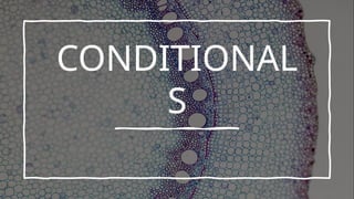 Comprehensive Guide to English Conditional Sentences: Zero, First ...