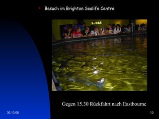 Besuch im Brighton Sealife Centre   Gegen 15.30 Rückfahrt nach Eastbourne 