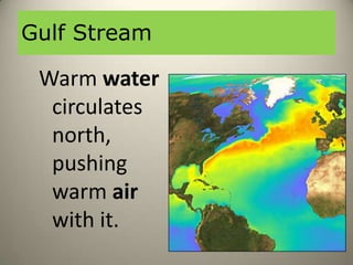 Gulf Stream

 Warm water
  circulates
  north,
  pushing
  warm air
  with it.
 